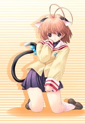  1girl animal_ears antenna_hair brown_eyes brown_hair cat_ears cat_tail clannad furukawa_nagisa ore_p-1_gou school_uniform short_hair solo tail 