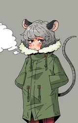  blush coat nazrin sixxxx solo touhou winter_clothes 