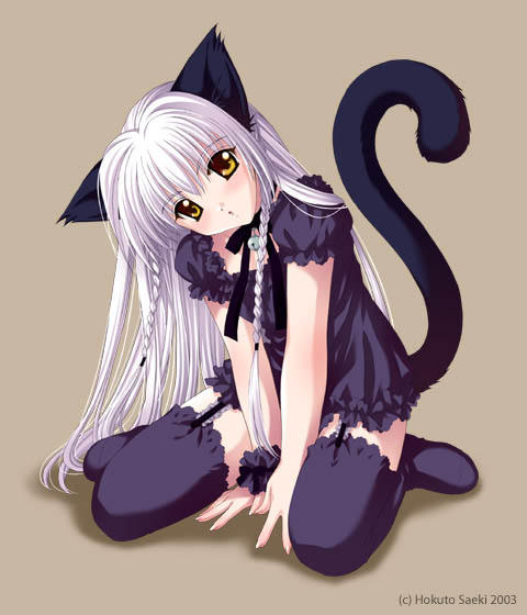 cat cat_ears kneeling loli long_hair negligee nekomimi saeki_hokuto thighhighs white_hair