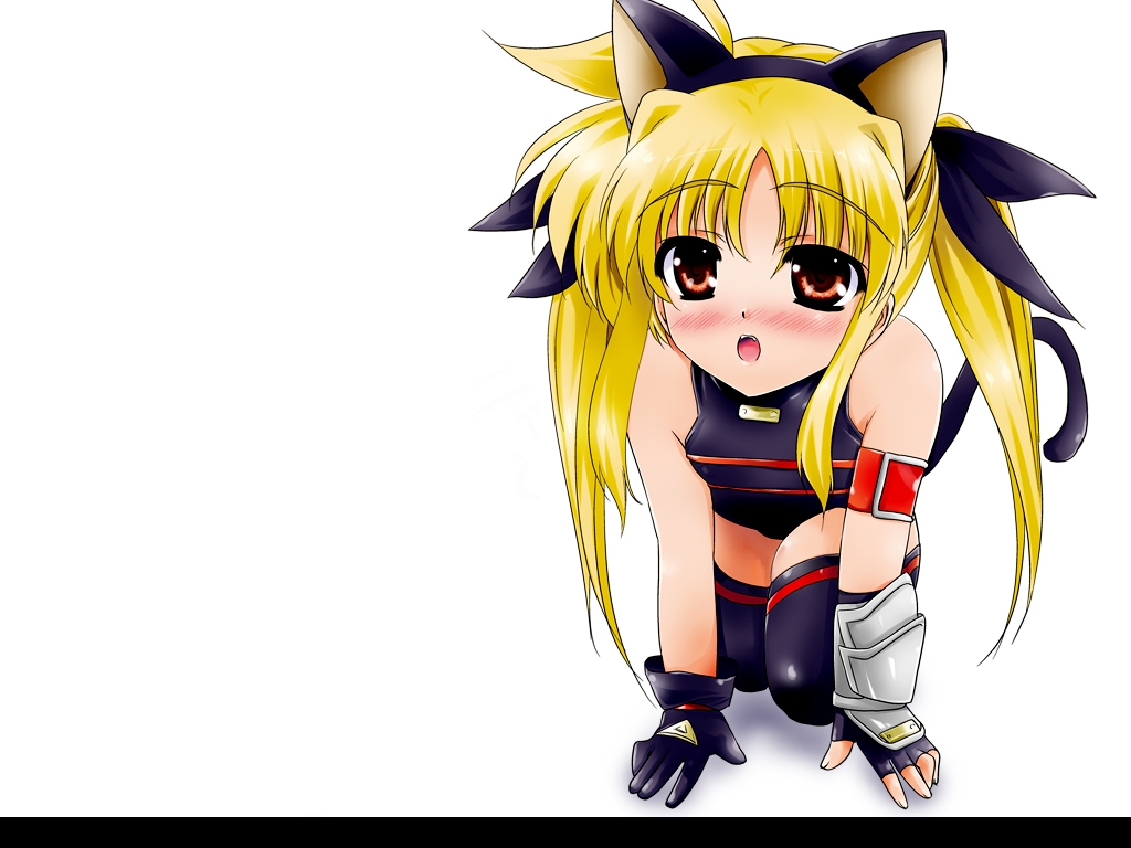 blush catgirl fate_testarossa long_hair spandex tail thigh_highs wallpaper