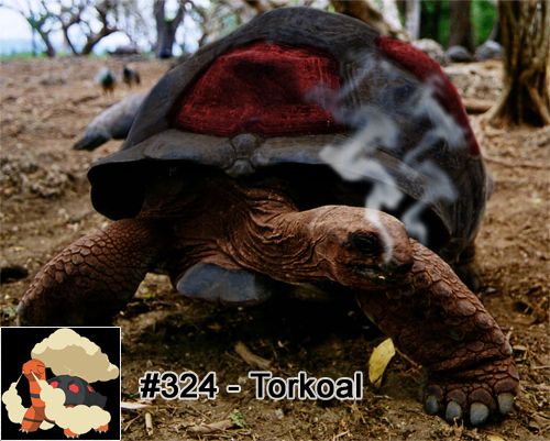 epic nintendo pokemon realistic tagme torkoal