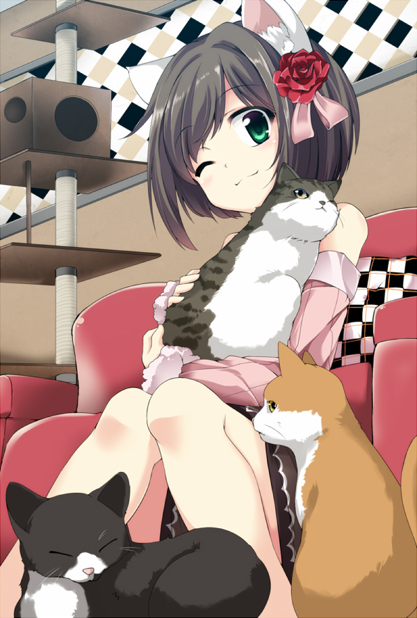 1girl animal_ears black_legwear cat_ears cat_on_lap cat_tower_(object) chair flower fujy green_eyes hair_flower hair_ornament idolmaster idolmaster_cinderella_girls kemonomimi_mode long_sleeves looking_at_viewer maekawa_miku red_rose rose shirt short_sleeves sitting skirt solo wink