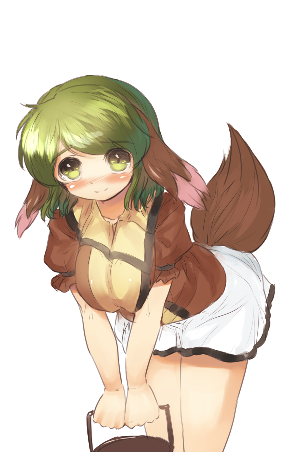 1girl animal_ears blush breasts danbo_(rock_clime) green_eyes green_hair highres kasodani_kyouko large_breasts short_hair simple_background skirt smile solo tail touhou white_background