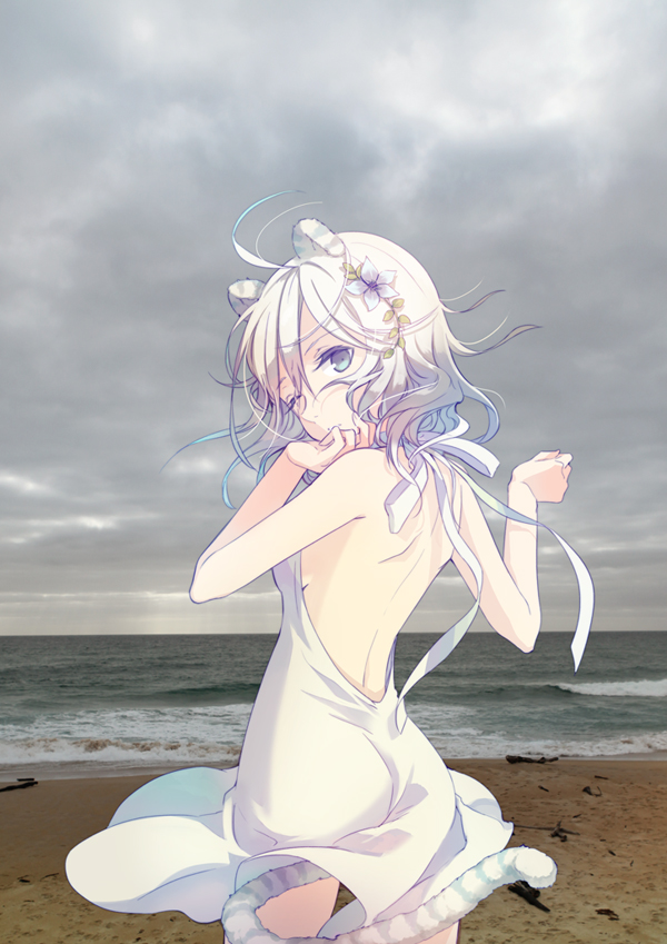 1girl animal_ears backless bare_shoulders beach blue_eyes dress flower from_behind h2so4 hair_flower hair_ornament looking_back original photo_background solo tail tiger_ears tiger_tail white_dress white_hair wink