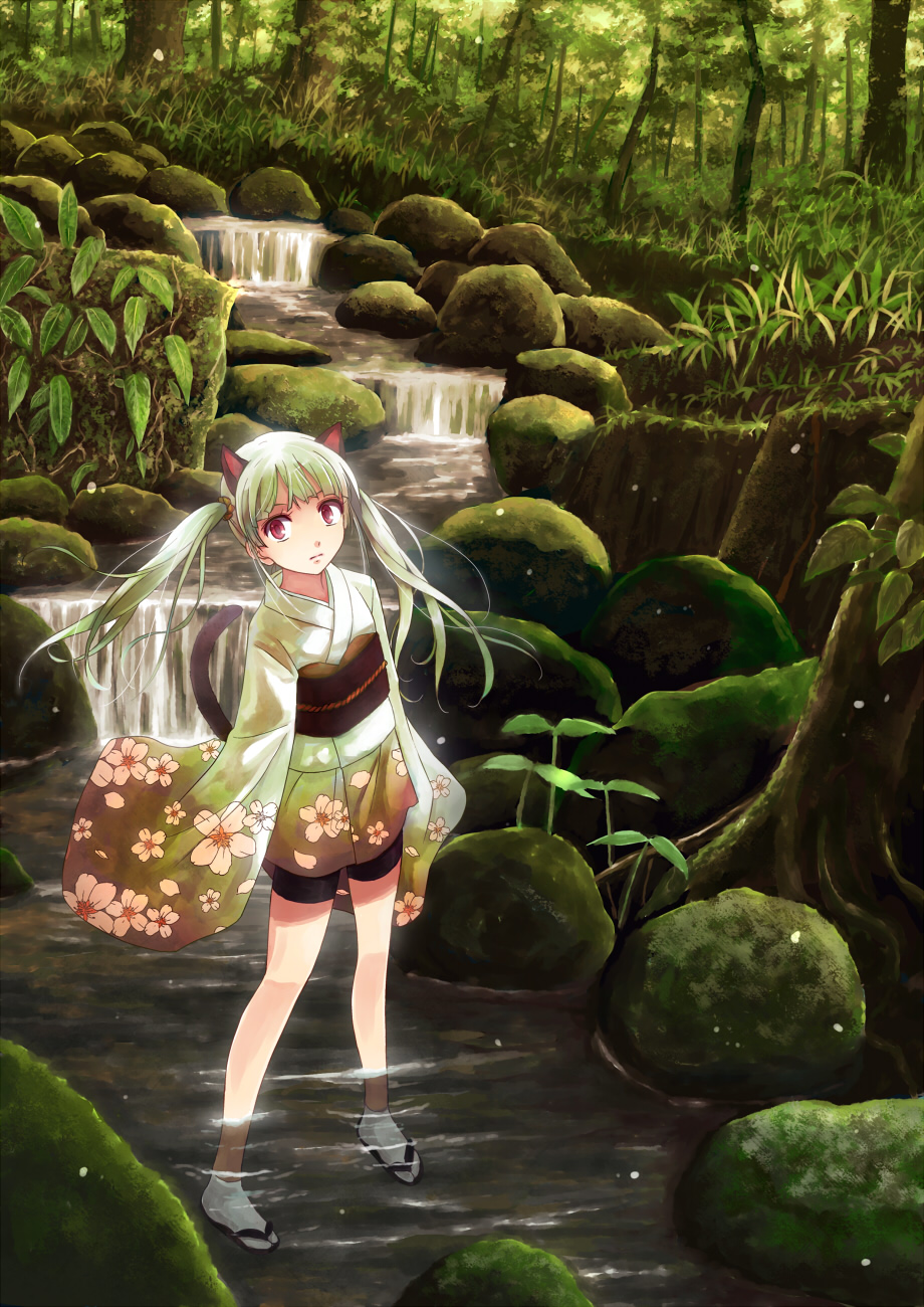 1girl animal_ears bike_shorts cat_ears cat_tail highres japanese_clothes kimono long_hair long_sleeves looking_at_viewer original partially_submerged red_eyes river scenery short_kimono silver_hair solo standing tail twintails water yakka