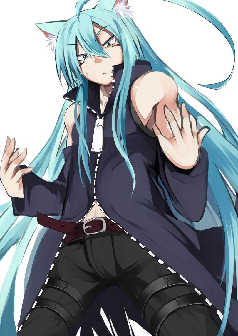 1boy animal_ears cat_ears coup_(shun_soku) genderswap green_eyes long_hair looking_at_viewer original shun_soku simple_background solo very_long_hair white_background