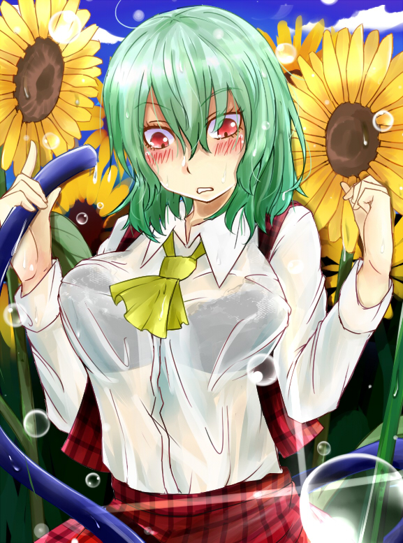 1girl ascot blush bra breasts flower green_hair kazami_yuuka koga_rejini large_breasts lingerie looking_down plaid plaid_vest red_eyes see-through short_hair skirt skirt_set solo sunflower touhou underwear water_drop wavy_mouth wet wet_clothes