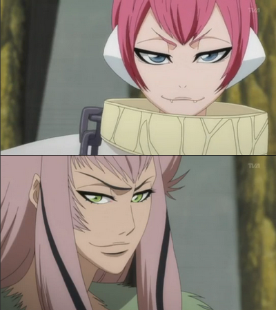 bleach blue_eyes cap green_eyes monkey pink_hair zabimaru zanpakuto_spirit