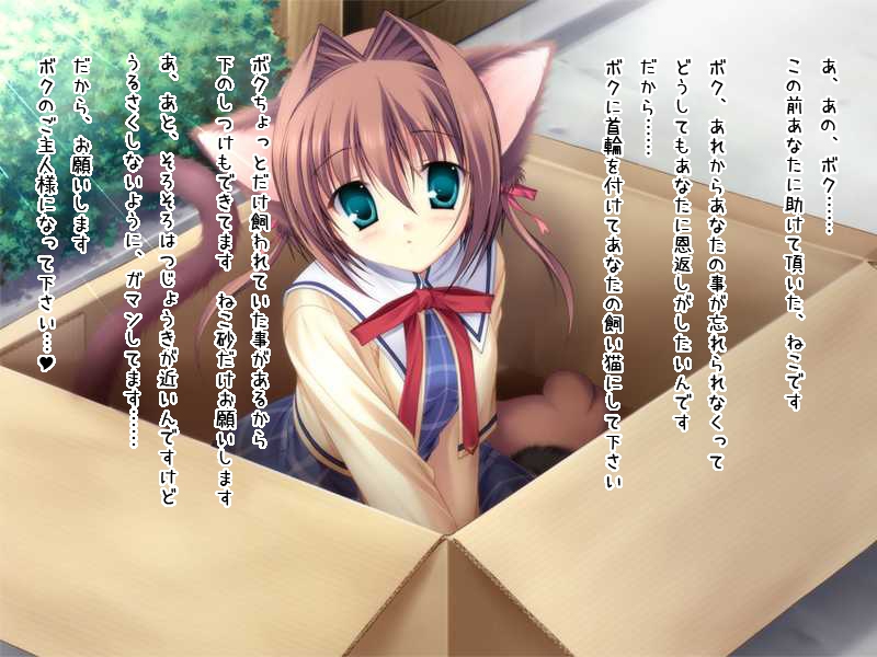 blue_eyes bow box brown_hair dress green_eyes nekomimi seifuku short_hair tail twintails uniform