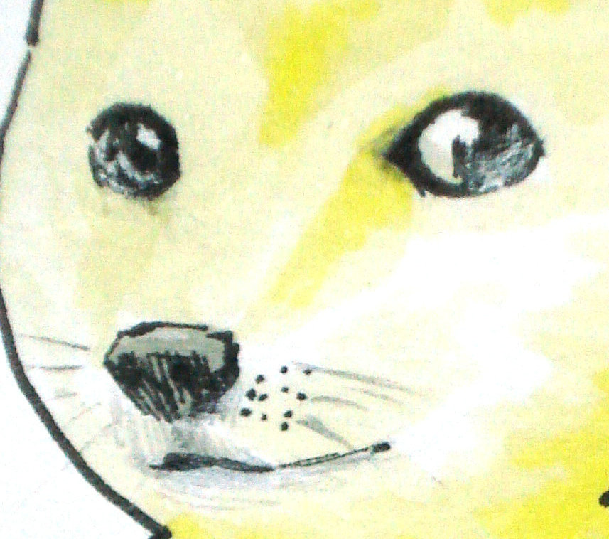 artist_request doge looking_at_viewer no_humans solo whiskers
