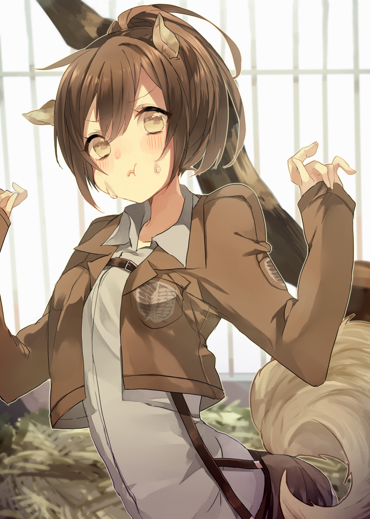 1girl animal_ears blazer brown_eyes brown_hair eating food food_on_face kemonomimi_mode long_hair looking_at_viewer miseinen ponytail sasha_braus shingeki_no_kyojin solo tail wolf_ears wolf_tail