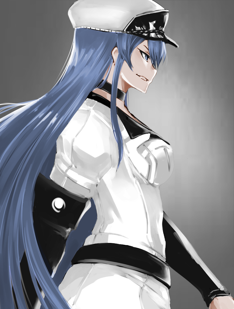 1girl akame_ga_kill! blue_eyes blue_hair breasts choker esdeath fitz_(fita_is_the_smartest) grin hat large_breasts long_hair military military_uniform peaked_cap profile smile solo uniform very_long_hair