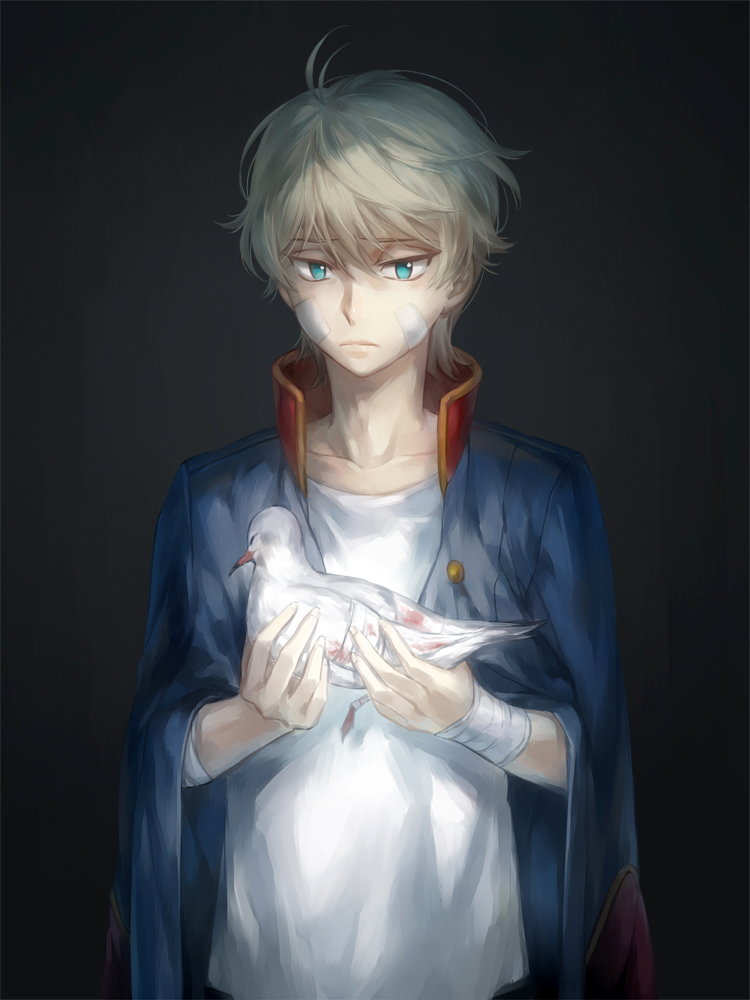 1boy aldnoah.zero bandages bird blue_eyes injury kanmuri_(hanyifan30338) male short_hair silver_hair slaine_troyard uniform