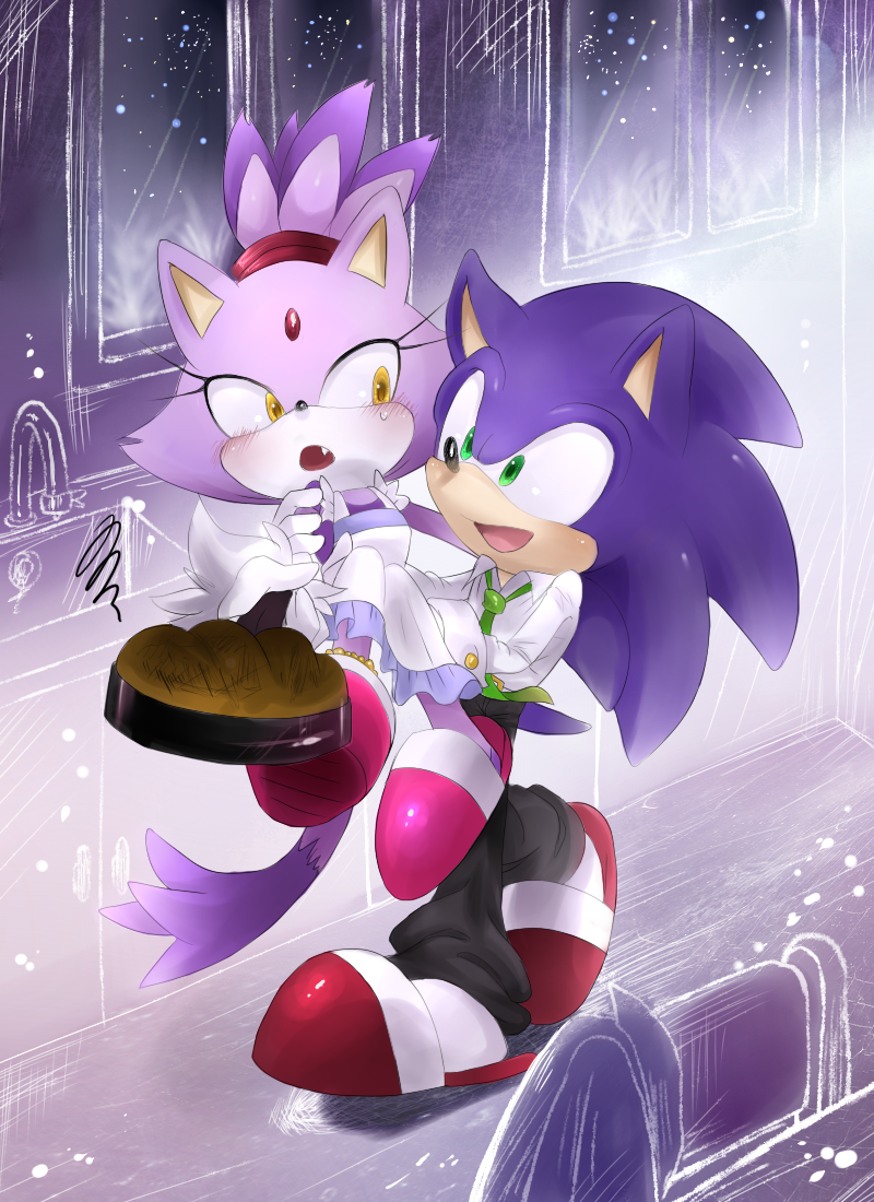 blaze_the_cat cat couple fang hedgehog married slippers sonic_(series) sonic_the_hedgehog tail