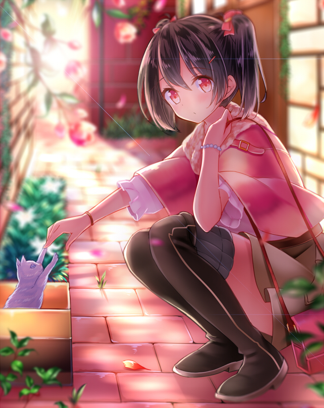 1girl azure_(capriccio) bag black_hair blurry box cardboard_box casual cat depth_of_field hair_ornament hairclip handbag in_box in_container looking_at_viewer love_live!_school_idol_project red_eyes solo squatting yazawa_nico