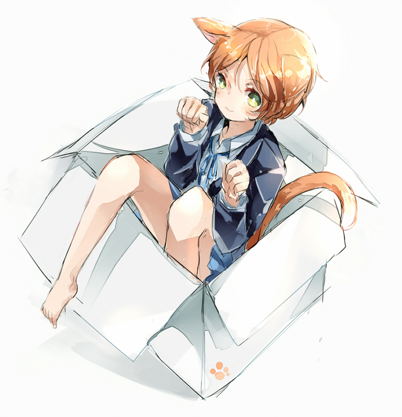 1girl :3 animal_ears barefoot box cat_ears cat_tail duizhang green_eyes hoshizora_rin looking_at_viewer love_live!_school_idol_project orange_hair paw_pose school_uniform short_hair simple_background sketch solo tail white_background