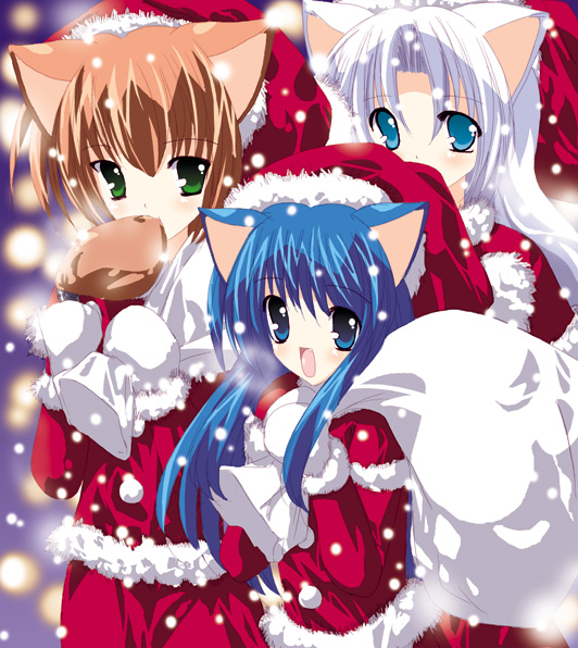 blue_eyes blue_hair brown_hair christmas gloves green_eyes hat long_hair nekomimi santa short_hair snow white_hair