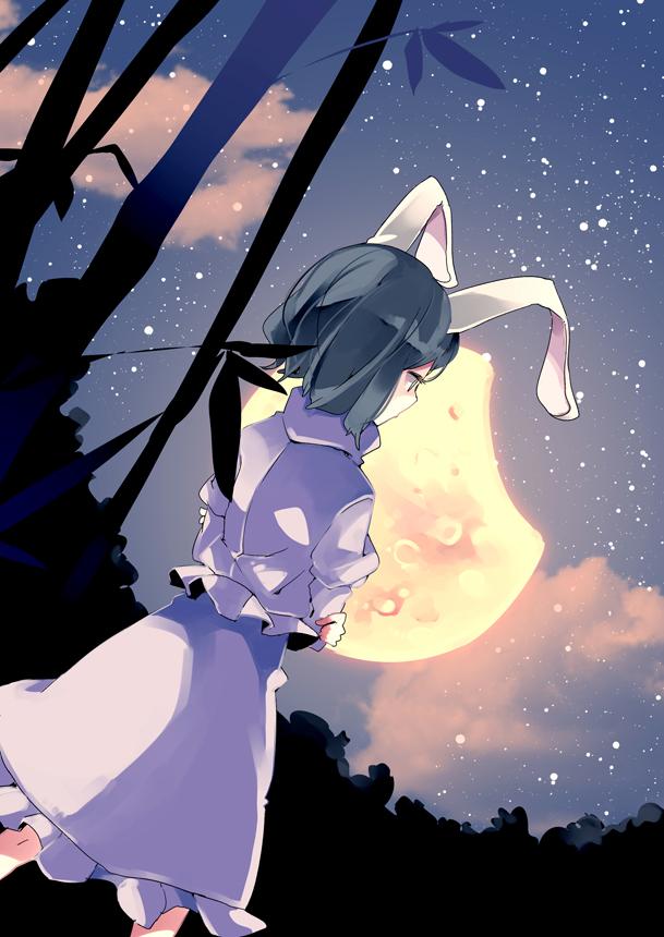 1girl animal_ears bamboo bamboo_forest black_hair bunny_tail clouds cloudy_sky crossed_arms forest frills from_behind gathers inaba_tewi leaf looking_away moon nature night night_sky plant rabbit_ears red_eyes ribbon short_hair skirt skirt_set sky solo star_(sky) starry_sky tail touhou yoshinaga_p