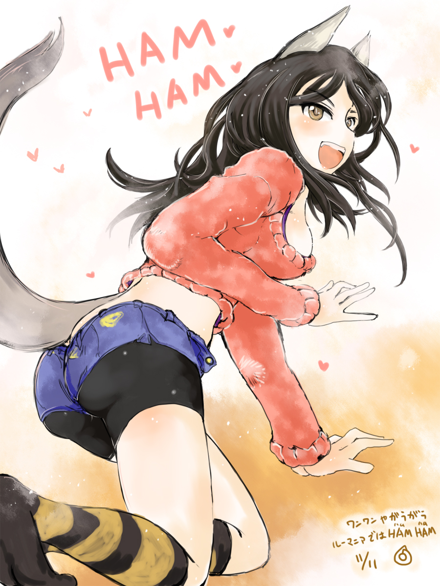 1girl :d alternate_costume animal_ears ass bike_shorts bike_shorts_under_shorts black_hair blush bra constantia_cantacuzino dated fangs heart highres kneehighs long_sleeves mishiro_shinza open_mouth purple_bra short_shorts shorts smile solo strike_witches striped striped_legwear sweater tail underwear wolf_ears wolf_tail yellow_eyes