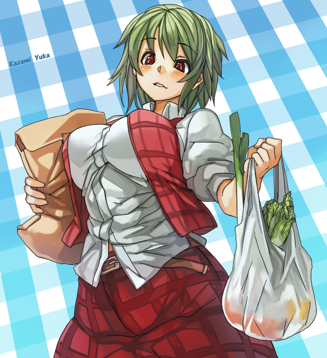 1girl bag breasts character_name green_hair groceries grocery_bag impossible_clothes impossible_shirt kazami_yuuka plaid plaid_background red_eyes sachito shopping_bag short_hair skirt solo touhou vest