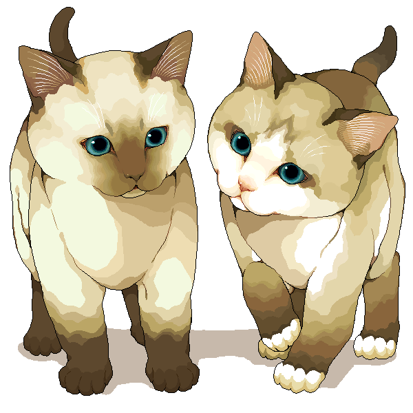 blue_eyes cat cat_focus kitten murata_(pixiv49763) no_humans original siamese_cat