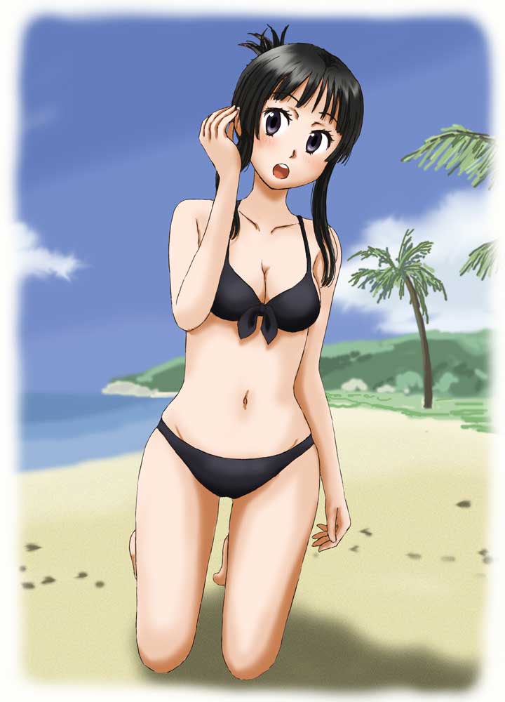 1girl akiyama_mio beach bikini black_bikini black_eyes black_hair k-on! kamosikayasyamoji long_hair swimsuit