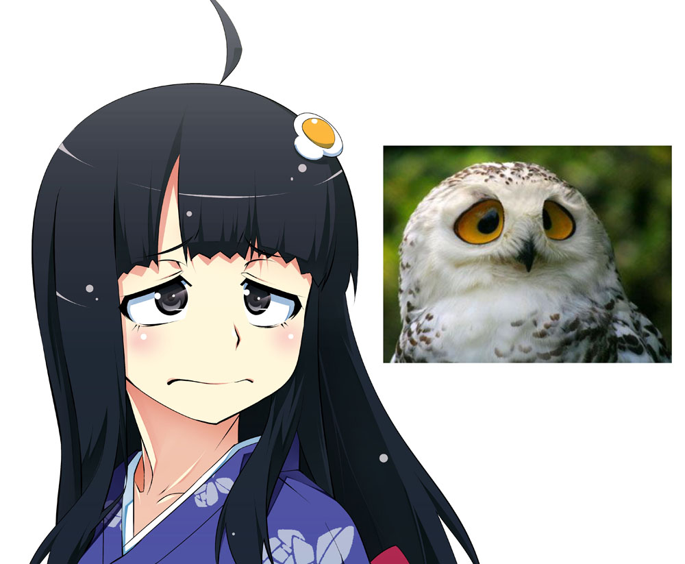 1girl araragi_tsukihi bird black_eyes black_hair fried_egg hair_ornament japanese_clothes kimono long_hair monogatari_(series) owl photo_reference short_hair solo tanabe_kyou