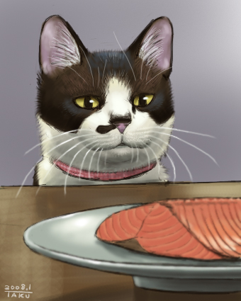 2008 cat collar food lowres matataku monita_(matataku) no_humans original salmon_(fish) solo whiskers yellow_sclera