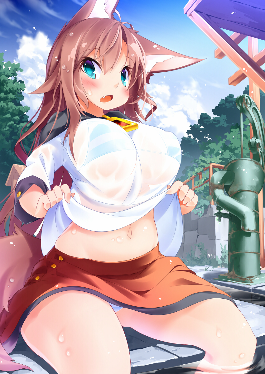 1girl animal_ears blue_eyes blush bra breasts brown_hair clouds cloudy_sky highres imaizumi_kagerou koha large_breasts long_hair navel pump see-through skirt sky striped striped_bra tail touhou tree underwear water wet wolf_ears wolf_tail