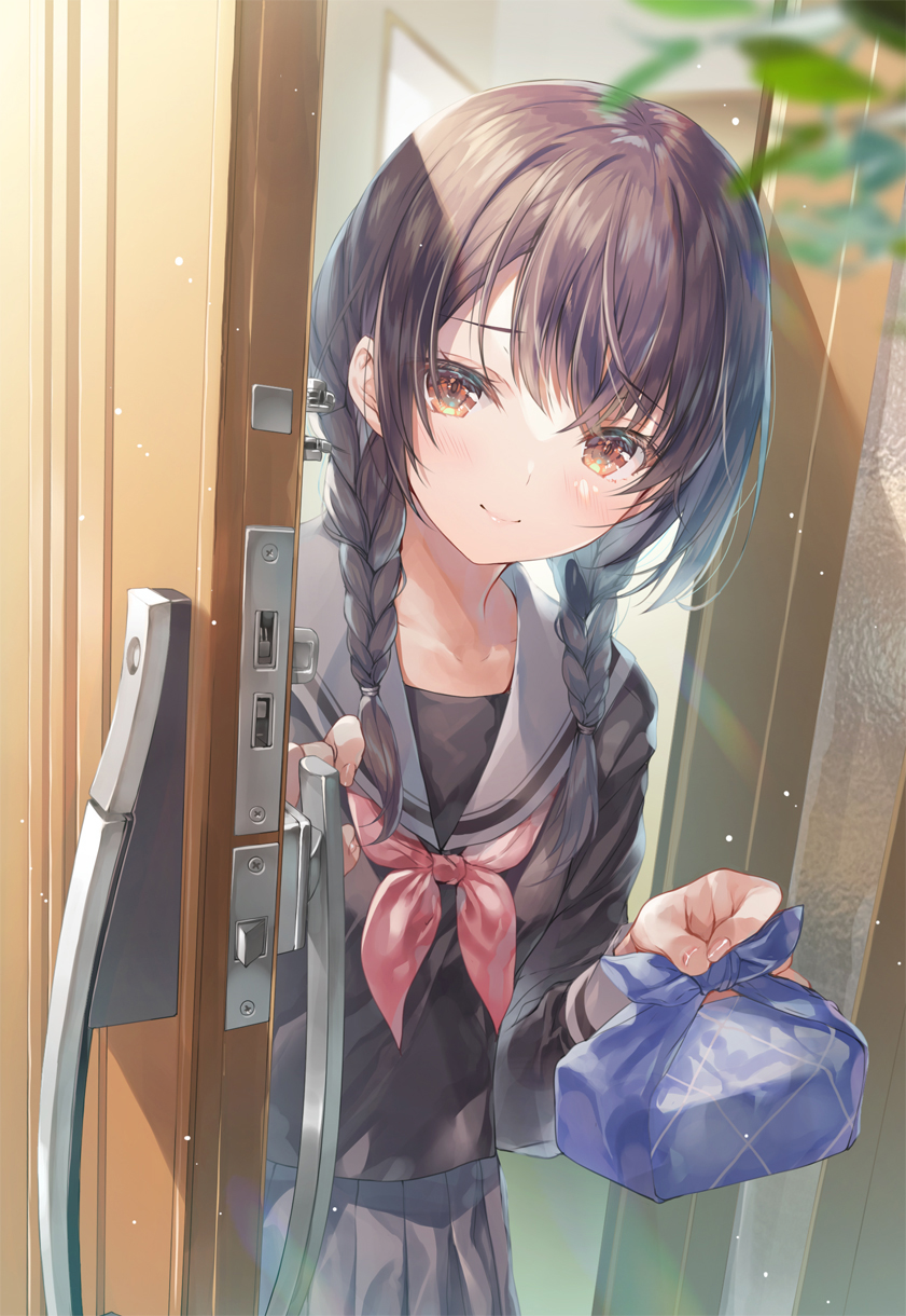 1girl bangs black_hair black_serafuku black_skirt blurry blurry_background blush braid brown_eyes commentary_request depth_of_field door door_handle eyebrows_visible_through_hair furoshiki highres leaf light_blush long_hair looking_at_viewer lunchbox medium_hair miwabe_sakura neckerchief opening_door original pov_doorway red_neckerchief red_neckwear sailor_collar school_uniform serafuku skirt smile solo twin_braids white_sailor_collar