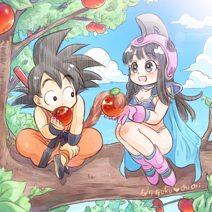 1boy 1girl apple bakusou_k bangs black_eyes black_hair blue_sky boots breasts cape character_name chi-chi_(dragon_ball) cleavage clouds dated dougi dragon_ball eating food fruit gloves helmet indian_style monkey_tail open_mouth pink_boots pink_gloves shoulder_pads sitting sky smile son_gokuu tree