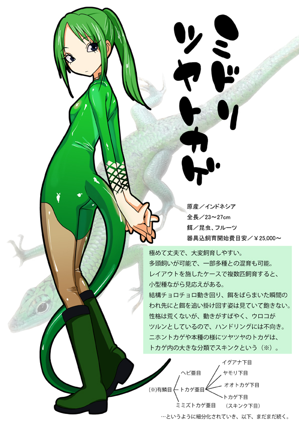 1girl black_eyes boots character_profile full_body green_hair gujira lizard personification solo tail translation_request