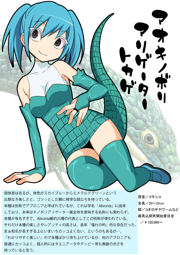 1girl black_eyes blue_hair character_profile fingerless_gloves gujira lizard personification solo tail translation_request