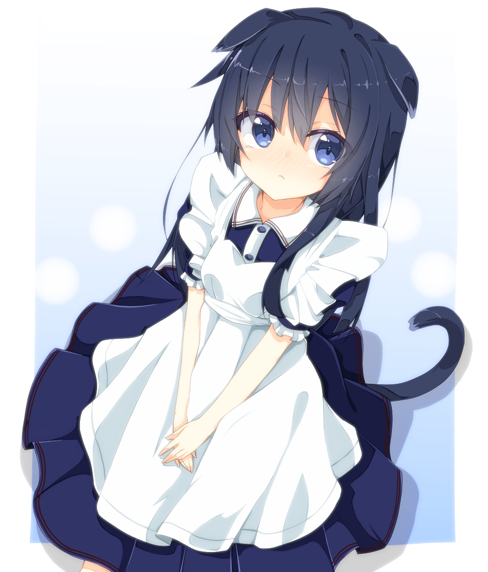 1girl akatsuki_(kantai_collection) animal_ears apron blue_background blue_dress blue_eyes blue_hair blush buttons cat_ears cat_tail collar dress dutch_angle frilled_sleeves frills frown gradient gradient_background hair_between_eyes kantai_collection kemonomimi_mode long_hair nose_blush pleated_dress rateratte short_sleeves simple_background solo standing tail v_arms white_border