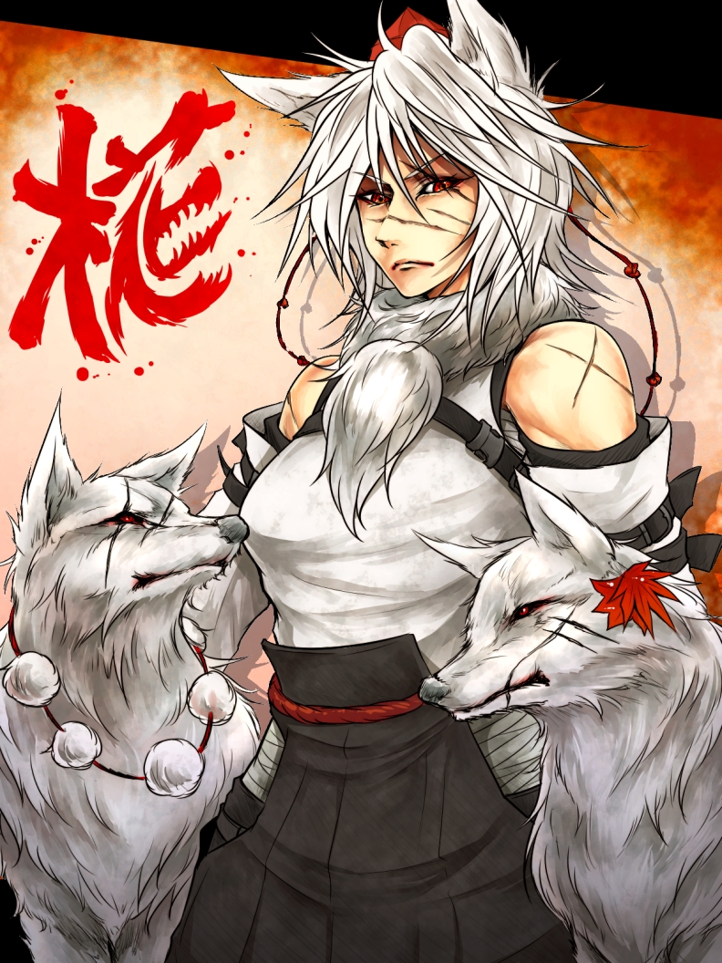 1girl albino animal_ears detached_sleeves hat hat_ribbon inubashiri_momiji looking_at_viewer red_eyes ribbon ryuuichi_(f_dragon) scar shirt silver_hair skirt solo tokin_hat touhou white_hair wolf wolf_ears