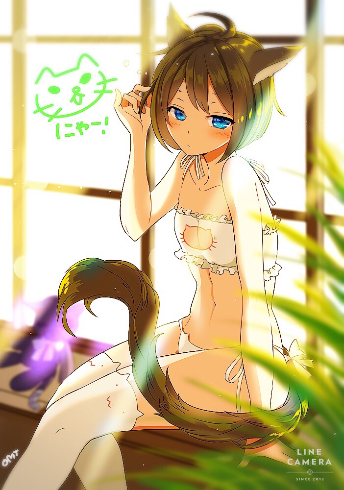 ! 1girl 2012 6_(roku) ahoge animal_ears arm_support backlighting bangs bell blurry blush bow brown_hair cat cat_band_legwear cat_cutout cat_day cat_ear_panties cat_ears cat_lingerie cat_tail chibi_inset cleavage_cutout closed_mouth depth_of_field frills hair_twirling indoors jingle_bell navel original palm_tree panties short_hair side-tie_panties signature sitting small_breasts solo stomach stuffed_animal stuffed_cat stuffed_toy sunlight tail tail_bow text tree underwear underwear_only white_bow white_legwear white_panties window