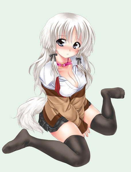 blue_eyes blush breasts cleavage collar dog_ears erect_nipples large_breasts school_uniform simple_background tail thigh-highs thighhighs white_hair