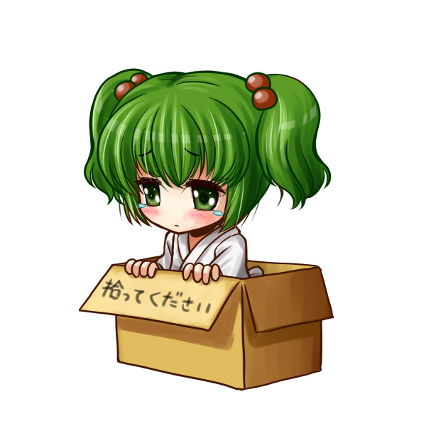 cardboard_box for_adoption girl_in_a_box green_eyes green_hair hair_bobbles hair_ornament in_box in_container kei_(pixiv) kei_kei kisume person_in_a_container sad short_hair solo tears touhou translated translation_request twintails