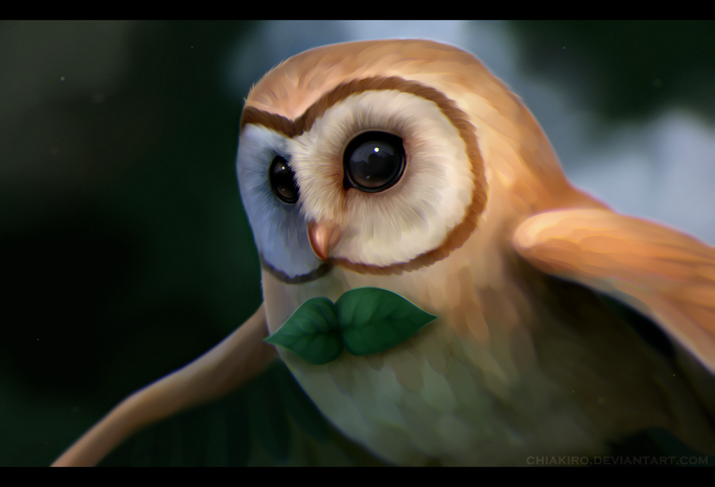 artist_name beak bird black_eyes blurry_background chiakiro letterboxed no_humans outstretched_wings owl pokemon pokemon_(creature) pokemon_(game) pokemon_sm realistic rowlet