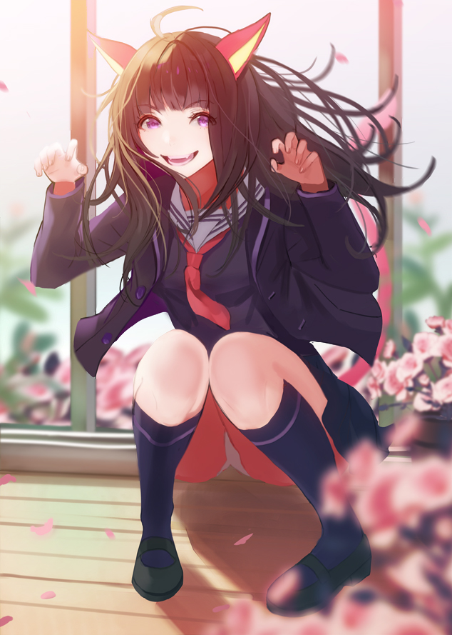 &gt;:d 1girl :d animal_ears antenna_hair black_shoes black_skirt blazer blue_shirt blurry brown_hair cat_ears claw_pose depth_of_field eyebrows eyebrows_visible_through_hair flower jacket kneehighs knees_together_feet_apart long_sleeves looking_at_viewer mary_janes mingou91 navy_blue_legwear neckerchief open_blazer open_clothes open_jacket open_mouth original panties pantyshot pantyshot_(squatting) petals plant pleated_skirt potted_plant school_uniform serafuku shirt shoes skirt smile solo squatting teeth unbuttoned underwear violet_eyes white_panties wind