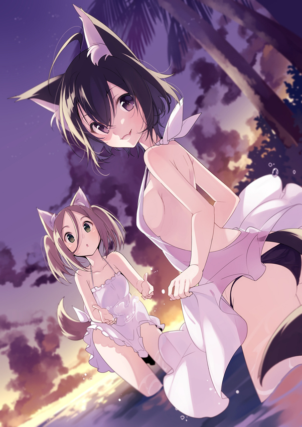 2girls :d :o animal_ears ass bare_arms bare_shoulders black_panties blush breasts brown_hair cat_ears cat_tail collarbone dress dutch_angle evening frilled_dress frills green_eyes hair_between_eyes looking_at_viewer multiple_girls open-back_dress open_mouth original outdoors palm_tree panties parted_lips plant see-through sideboob sleeveless sleeveless_dress small_breasts smile splashing strap_gap sunlight sunset tail tree twintails umiko_(munemiu) underwear upskirt violet_eyes wading water water_drop white_dress