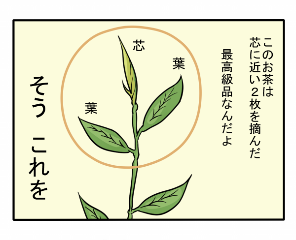 comic love_live! love_live!_sunshine!! no_humans shiitake_nabe_tsukami simple_background tea_leaves translated