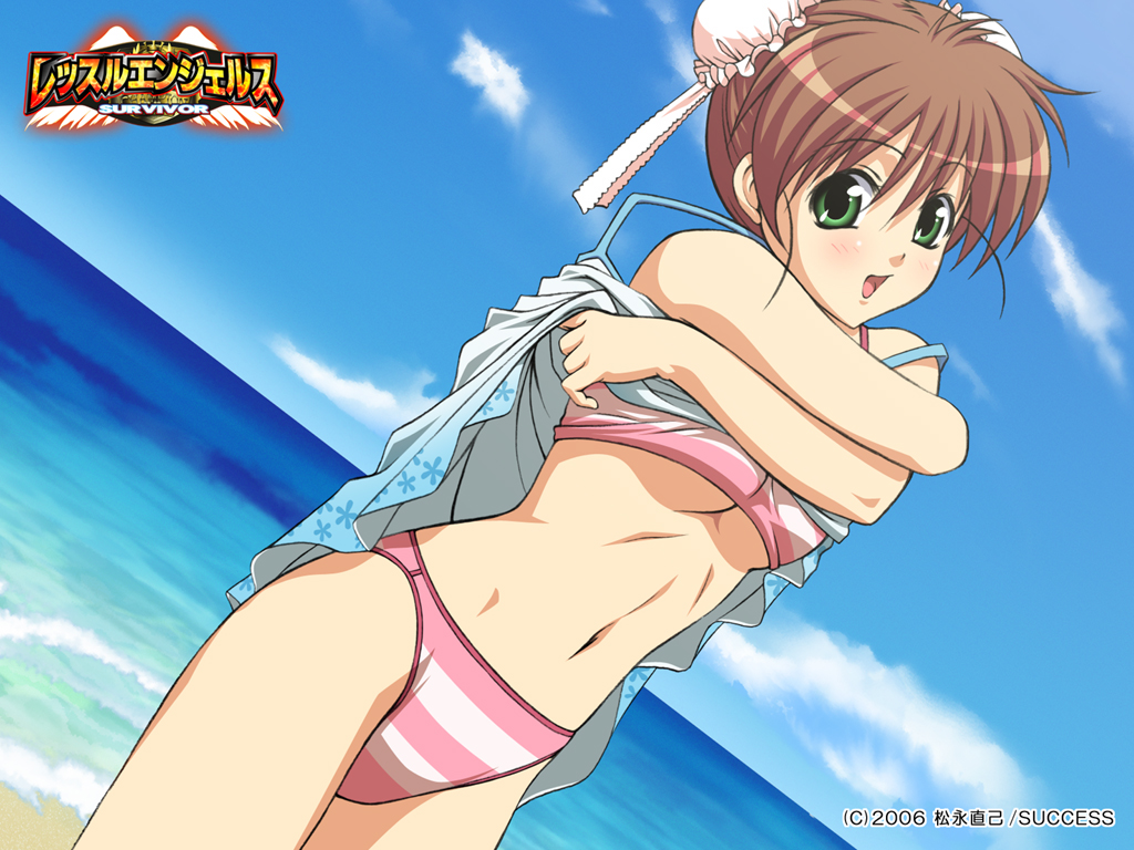 bikini blush breasts brown_hair bun_cover cloud crossed_arms double_bun dress dress_lift dutch_angle green_eyes hal kanamori_reiko navel ocean outdoors shirt_lift short_hair sky solo striped striped_bikini striped_swimsuit success swimsuit swimsuit underboob undressing wallpaper water wrestle_angels wrestle_angels_survivor