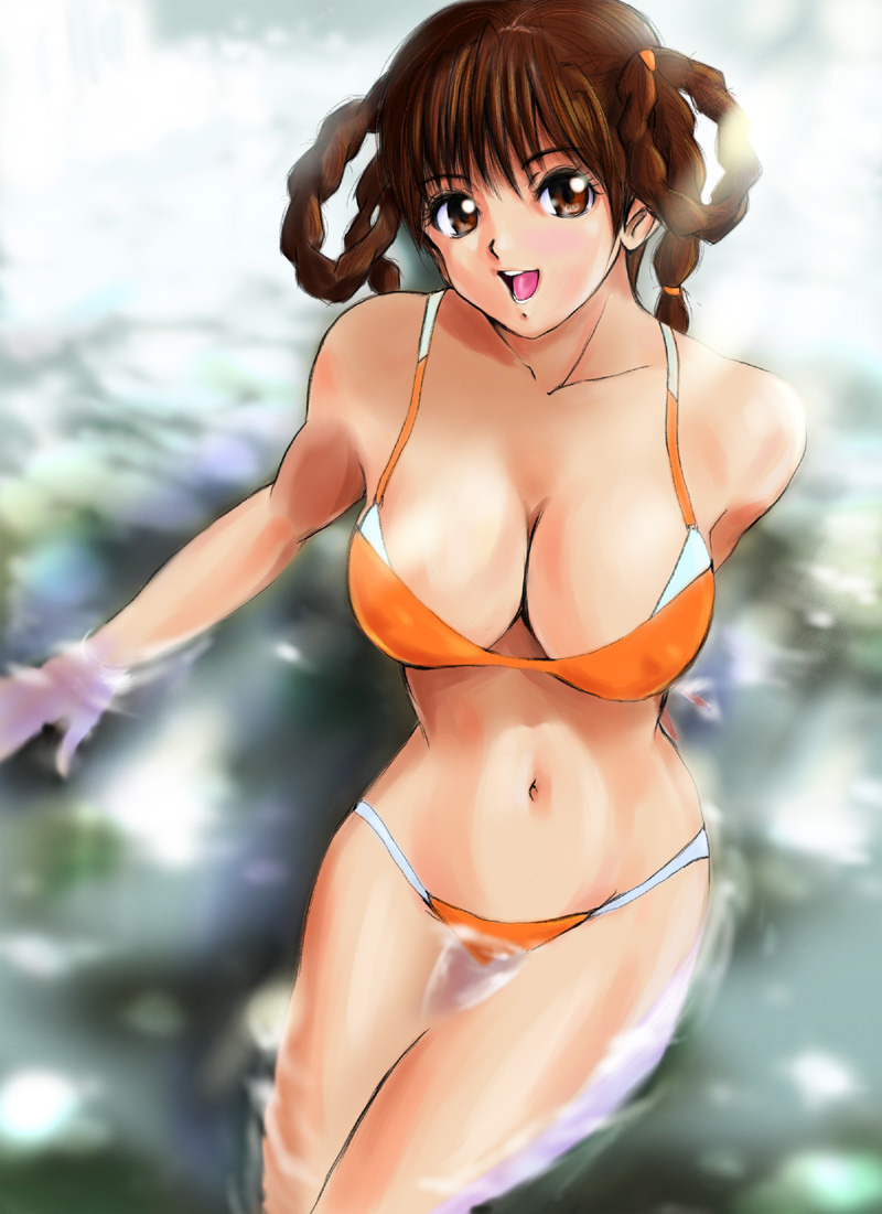 braid breasts brown_eyes brown_hair cleavage dead_or_alive funky-harem large_breasts lei_fang lowleg lowleg_bikini open_mouth shiny shiny_skin shu-z sitting solo swimsuit twin_braids wading water