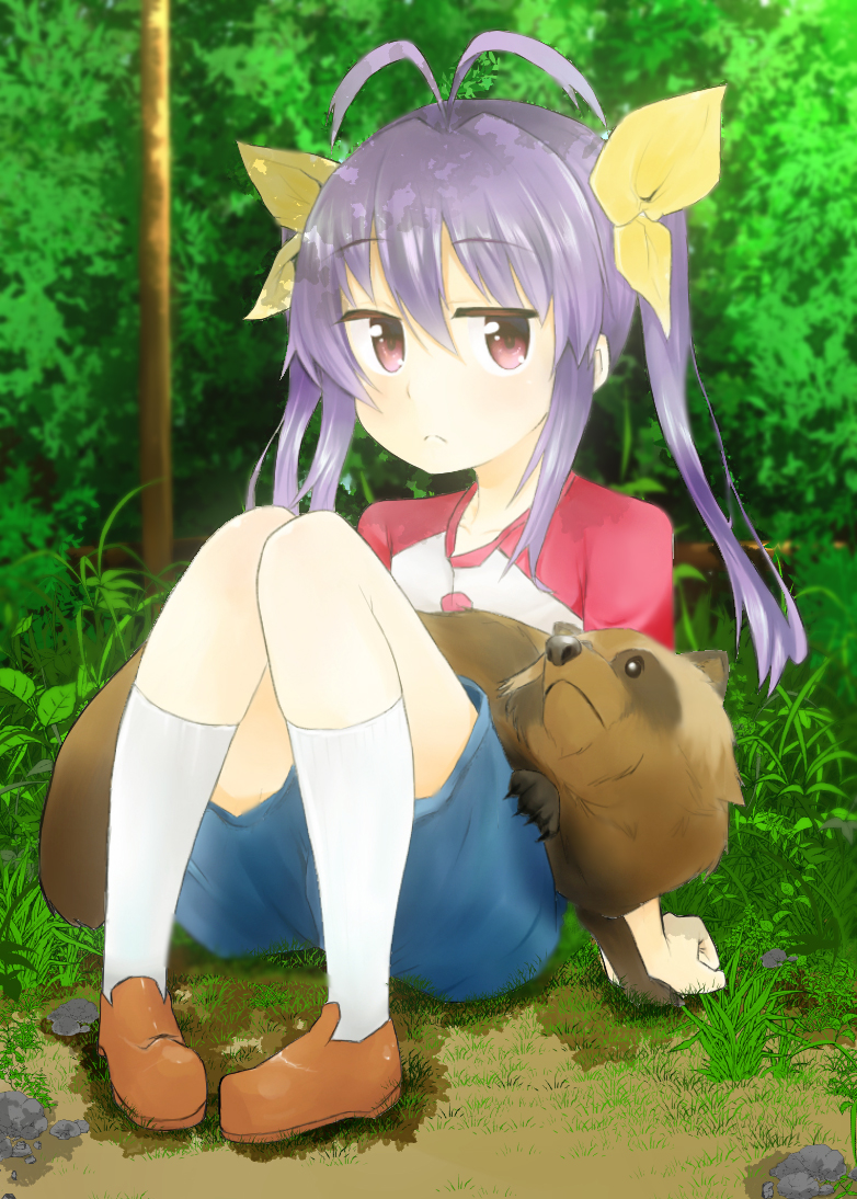 1girl antenna_hair blue_shorts brown_shoes bush clenched_hand collarbone eyebrows eyebrows_visible_through_hair frown full_body grass gu_(non_non_biyori) hair_ribbon jitome kneehighs long_hair looking_at_viewer looking_up miyauchi_renge non_non_biyori on_ground purple_hair raglan_sleeves red_eyes ribbon rock shadow shoes shorts sitting tanuki twintails wataro_(watawatawatapon) white_legwear yellow_ribbon