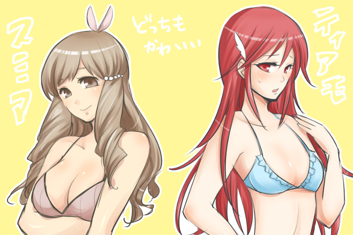 2girls bikini breasts brown_eyes brown_hair cordelia_(fire_emblem) cute embarrassed fire_emblem fire_emblem:_kakusei fire_emblem_awakening fire_emblem_heroes intelligent_systems long_hair multiple_girls nintendo red_eyes redhead small_breasts sumia summer swimsuit swimsuit_aside very_long_hair