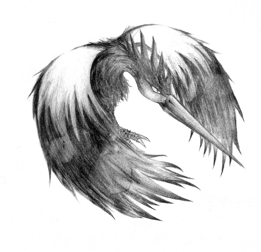 artist_request bird fearow monochrome no_humans pokemon solo white_background