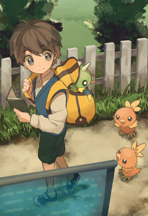 1boy backpack book brown_hair fence grass linaria_(ookinahitomi) pokemon spinarak torchic