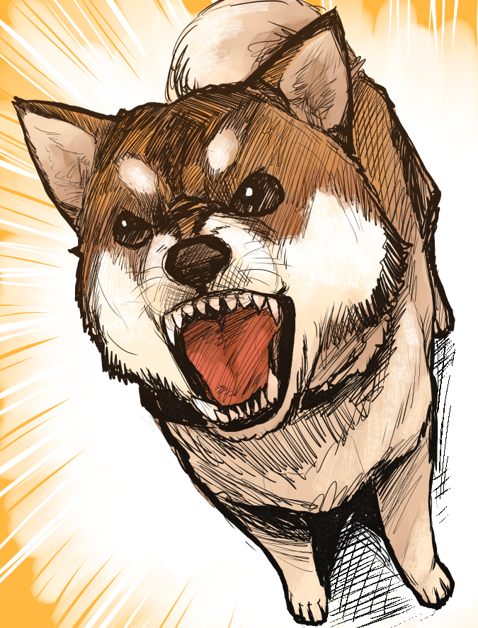 aaru_(tenrake_chaya) animal barking black_eyes brown_fur dutch_angle emphasis_lines foreshortening full_body fur no_humans open_mouth sharp_teeth shiba_inu sketch standing teeth tongue whiskers