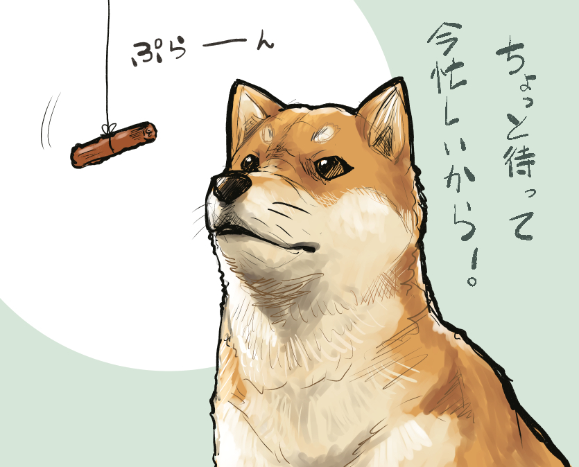 aaru_(tenrake_chaya) animal brown_eyes closed_mouth food meat no_humans shiba_inu simple_background text thread translation_request two-tone_background upper_body whiskers